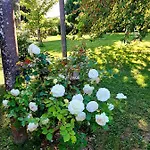 L'escale De Bel Air D'hotes 4*