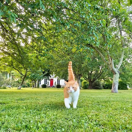 L'escale De Bel Air D'hotes 4* Gauriac