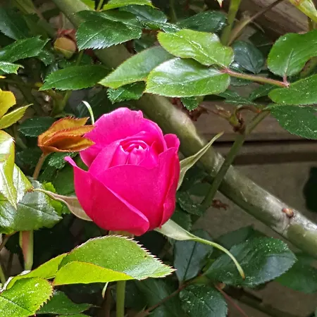 Bed & Breakfast L'escale De Bel Air D'hotes Gauriac