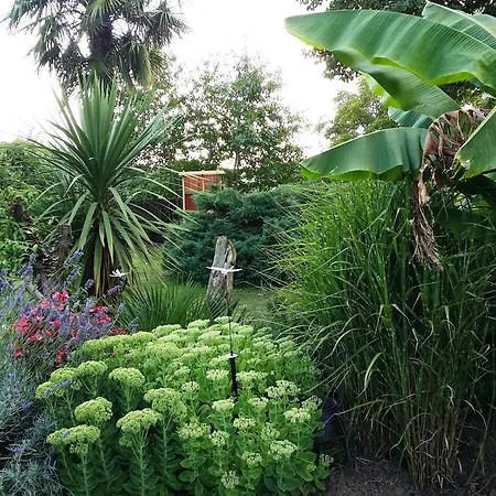 Bed & Breakfast L'escale De Bel Air D'hotes