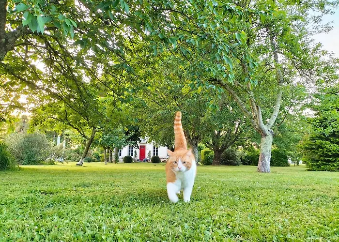 L'escale De Bel Air D'hotes 4* Gauriac