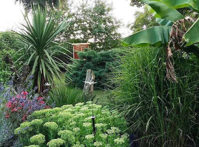 Bed & Breakfast L'escale De Bel Air D'hotes