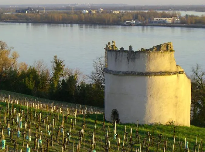 L'escale De Bel Air D'hotes Bed & Breakfast Gauriac